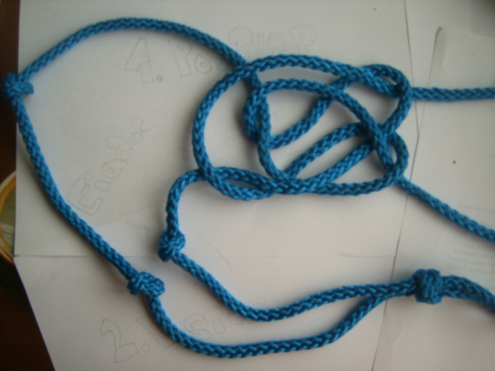 IMG00060.JPG